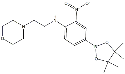 N-(2-morpholinoethyl)-2-nitro-4-(4,4,5,5-tetramethyl-1,3,2-dioxaborolan-2-yl)aniline Struktur