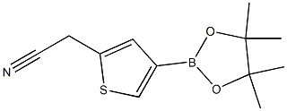 2-(4-(4,4,5,5-tetramethyl-1,3,2-dioxaborolan-2-yl)thiophen-2-yl)acetonitrile Struktur