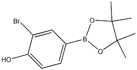 2-bromo-4-(4,4,5,5-tetramethyl-1,3,2-dioxaborolan-2-yl)phenol Struktur