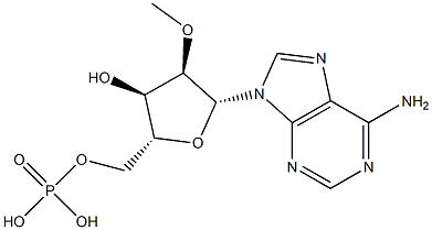 2'-O-Methyl-adenosine-5'-monophosphate Struktur