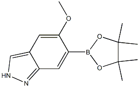 5-methoxy-6-(4,4,5,5-tetramethyl-1,3,2-dioxaborolan-2-yl)-2H-indazole Struktur