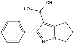 2-(pyridin-2-yl)-5,6-dihydro-4H-pyrrolo[1,2-b]pyrazol-3-ylboronic acid Struktur