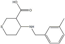 4-(3-methylbenzylamino)tetrahydro-2H-thiopyran-3-carboxylic acid Struktur