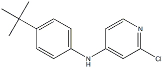 N-(4-tert-butylphenyl)-2-chloropyridin-4-amine Struktur