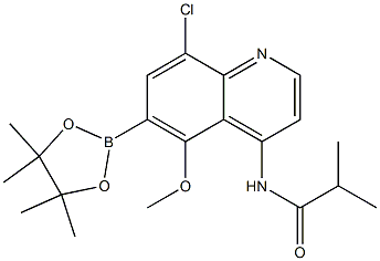 N-(8-chloro-5-methoxy-6-(4,4,5,5-tetramethyl-1,3,2-dioxaborolan-2-yl)quinolin-4-yl)isobutyramide Struktur