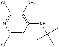 N4-tert-butyl-2,6-dichloropyridine-3,4-diamine Struktur