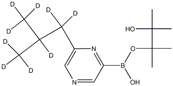 6-(iso-Butyl-d9)-pyrazine-2-boronic acid pinacol ester Struktur