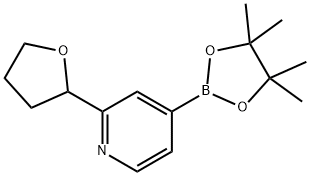 2-(tetrahydrofuran-2-yl)-4-(4,4,5,5-tetramethyl-1,3,2-dioxaborolan-2-yl)pyridine Struktur