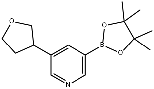 3-(tetrahydrofuran-3-yl)-5-(4,4,5,5-tetramethyl-1,3,2-dioxaborolan-2-yl)pyridine Struktur