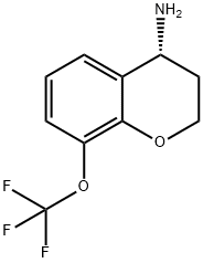 (4R)-8-(TRIFLUOROMETHOXY)CHROMANE-4-YLAMINE Struktur