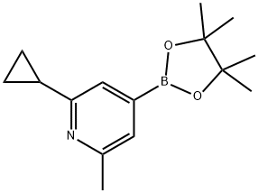 2-cyclopropyl-6-methyl-4-(4,4,5,5,-tetramethyl-1,3,2-dioxa-borolan-2-yl)-pyridine Struktur