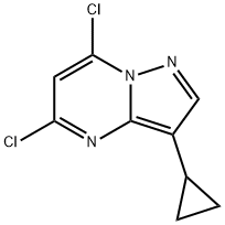 5,7-Dichloro-3-cyclopropyl-pyrazolo[1,5-a]pyrimidine Struktur