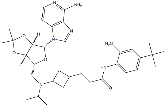 N-(2-amino-4-tert-butylphenyl)-3-(3-((((3aR,4R,6R,6aR)-6-(6-amino-9H-purin-9-yl)-2,2-dimethyltetrahydrofuro[3,4-d][1,3]dioxol-4-yl)methyl)(isopropyl)amino)cyclobutyl)propanamide Struktur