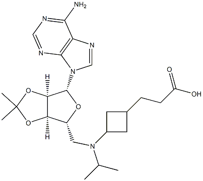 3-(3-((((3aR,4R,6R,6aR)-6-(6-amino-9H-purin-9-yl)-2,2-dimethyltetrahydrofuro[3,4-d][1,3]dioxol-4-yl)methyl)(isopropyl)amino)cyclobutyl)propanoic acid Struktur