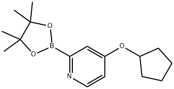 4-(cyclopentyloxy)-2-(4,4,5,5-tetramethyl-1,3,2-dioxaborolan-2-yl)pyridine Struktur