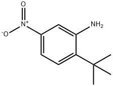 2-tert-Butyl-5-nitro-phenylamine