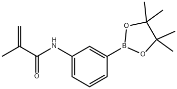 N-(3-(4,4,5,5-tetramethyl-1,3,2-dioxaborolan-2-yl)phenyl)methacrylamide Struktur