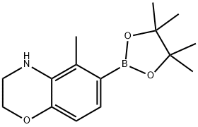 5-Methyl-6-(4,4,5,5-tetramethyl-[1,3,2]dioxaborolan-2-yl)-3,4-dihydro-2H-benzo[1,4]oxazine Struktur