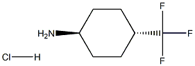 trans-4-Trifluoromethyl-cyclohexylamine hydrochloride Struktur