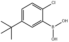 5-tert-butyl-2-chlorophenylboronic acid Struktur