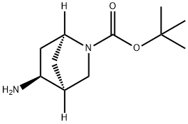 (1S,4S,5S)-Tert-Butyl 5-Amino-2-Azabicyclo[2.2.1]Heptane-2-Carboxylate Struktur