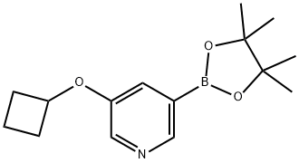 3-cyclobutoxy-5-(4,4,5,5-tetramethyl-[1,3,2]dioxaborolan-2-yl)pyridine Struktur