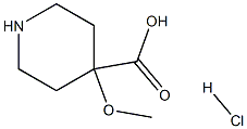 4-Methoxy-piperidine-4-carboxylic acid hydrochloride|4-Methoxy-piperidine-4-carboxylic acid hydrochloride