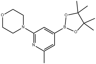 2-methyl-6-(morpholin-4-yl)-4-(4,4,5,5-tetramethyl-1,3,2-dioxaborolan-2-yl)pyridine Struktur