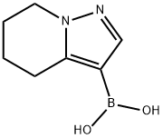 4,5,6,7-tetrahydropyrazolo[1,5-a]pyridin-3-ylboronic acid Struktur