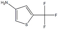 5-Trifluoromethyl-thiophen-3-ylamine Struktur