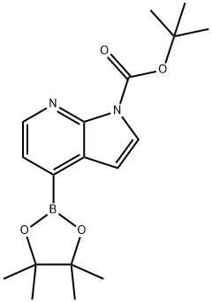 tert-butyl 4-(tetramethyl-1,3,2-dioxaborolan-2-yl)-1H-pyrrolo[2,3-b]pyridine-1-carboxylate Struktur