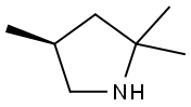 (S)-2,2,4-trimethylpyrrolidine Struktur