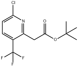 tert-Butyl 2-(6-chloro-3-(trifluoromethyl)pyridin-2-yl)acetate Struktur