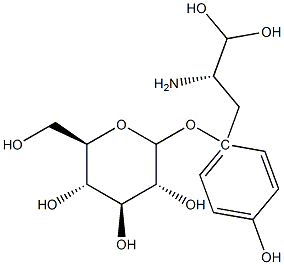 3,4-二羥基苯乙基葡糖苷 結(jié)構(gòu)式