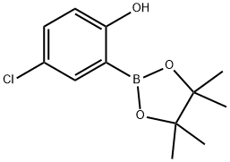 4-chloro-2-(4,4,5,5-tetramethyl-1,3,2-dioxaborolan-2-yl)phenol Struktur