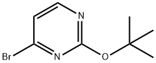 4-bromo-2-tert-butoxypyrimidine Struktur