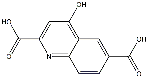 4-Hydroxy-quinoline-2,6-dicarboxylic acid Struktur