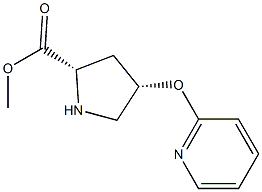 (2S,4S)-methyl 4-(pyridin-2-yloxy)pyrrolidine-2-carboxylate Struktur