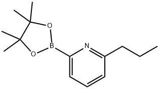 2-propyl-6-(4,4,5,5-tetramethyl-1,3,2-dioxaborolan-2-yl)pyridine Struktur