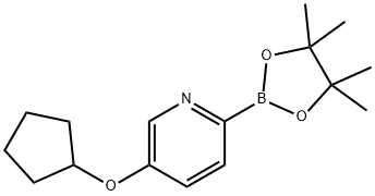 5-(cyclopentyloxy)-2-(4,4,5,5-tetramethyl-1,3,2-dioxaborolan-2-yl)pyridine Struktur