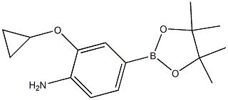 2-cyclopropoxy-4-(4,4,5,5-tetramethyl-1,3,2-dioxaborolan-2-yl)aniline Struktur