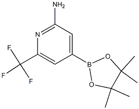 4-(4,4,5,5-tetramethyl-1,3,2-dioxaborolan-2-yl)-6-(trifluoromethyl)pyridin-2-amine Struktur