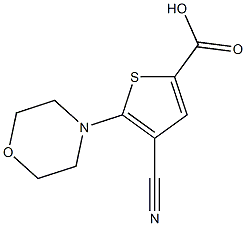 4-cyano-5-morpholinothiophene-2-carboxylic acid Struktur