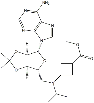 methyl 3-((((3aR,4R,6R,6aR)-6-(6-amino-9H-purin-9-yl)-2,2-dimethyltetrahydrofuro[3,4-d][1,3]dioxol-4-yl)methyl)(isopropyl)amino)cyclobutanecarboxylate Struktur