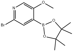 2-Bromo-5-methoxypyridine-4-boronic acid pinacol ester Struktur