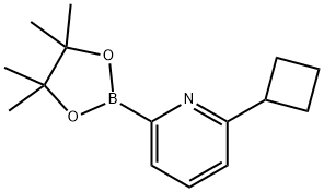 2-cyclobutyl-6-(4,4,5,5-tetramethyl-1,3,2-dioxaborolan-2-yl)pyridine Struktur