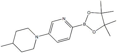 5-(4-methylpiperidin-1-yl)-2-(4,4,5,5-tetramethyl-1,3,2-dioxaborolan-2-yl)pyridine Struktur