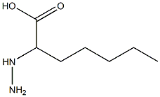 Enanthic  acid,  -alpha--hydrazino-  (4CI) Struktur