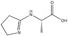 Alanine, N-(3,4-dihydro-2H-pyrrol-5-yl)- (6CI) Struktur