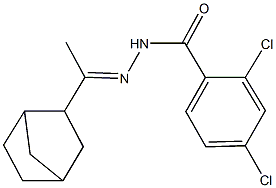 N'-(1-bicyclo[2.2.1]hept-2-ylethylidene)-2,4-dichlorobenzohydrazide Struktur